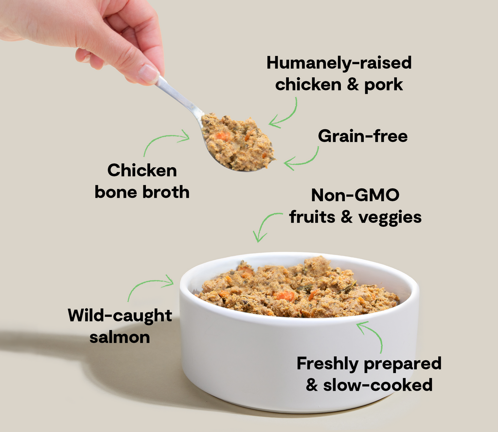 Puppy Grain-Free Freshly Crafted Dog Food