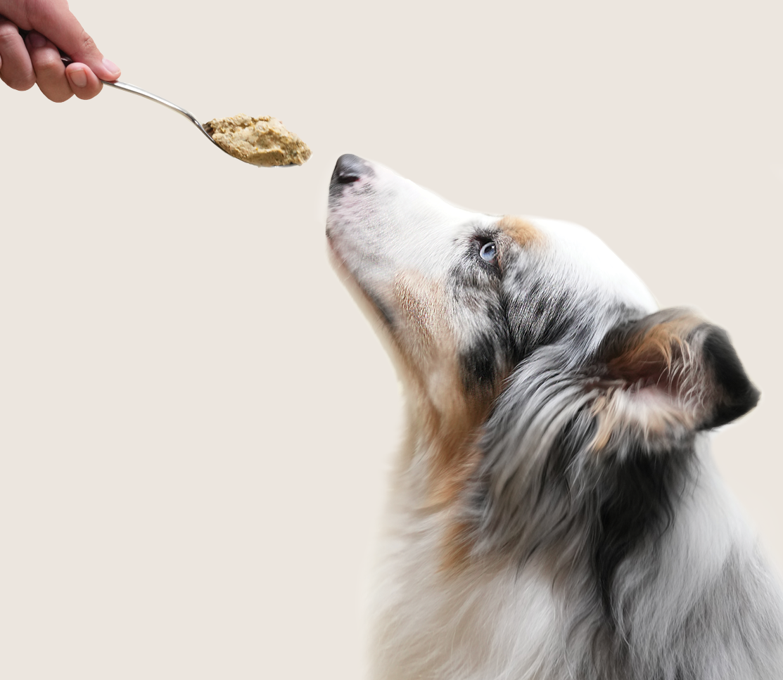 Puppy Grain-Free Freshly Crafted Dog Food