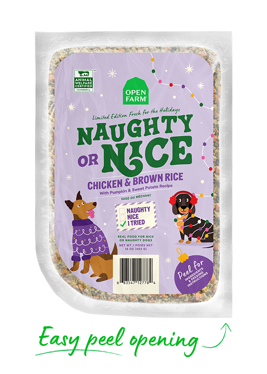 Limited Edition Winter Blend Gently Cooked for Dogs