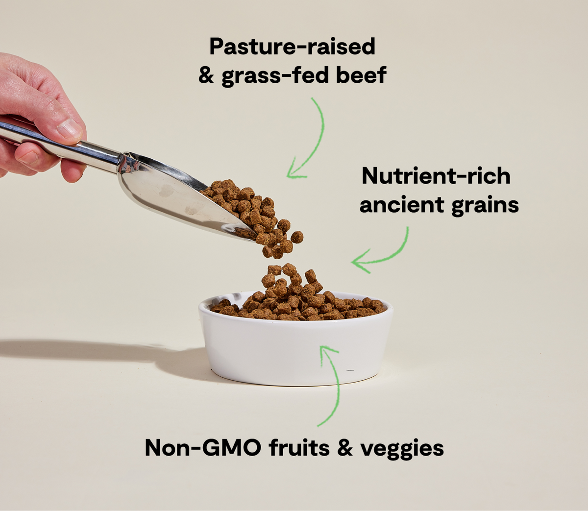 Grass-Fed Beef & Ancient Grains Dog Kibble