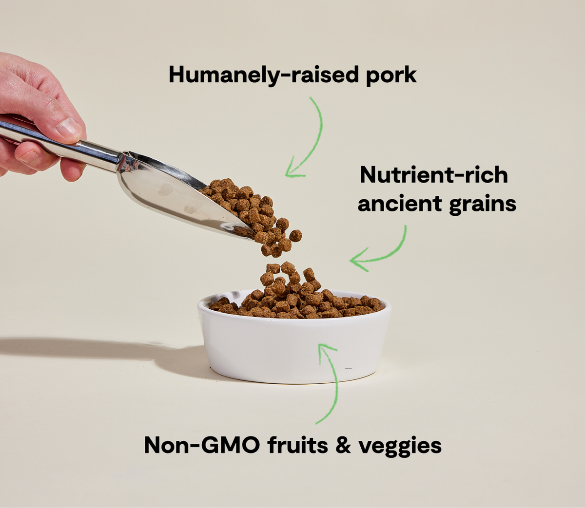 Farmer's Table Pork & Ancient Grains Dog Kibble