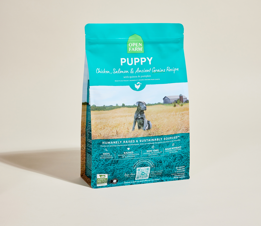 Chicken & Salmon Ancient Grains Puppy Kibble