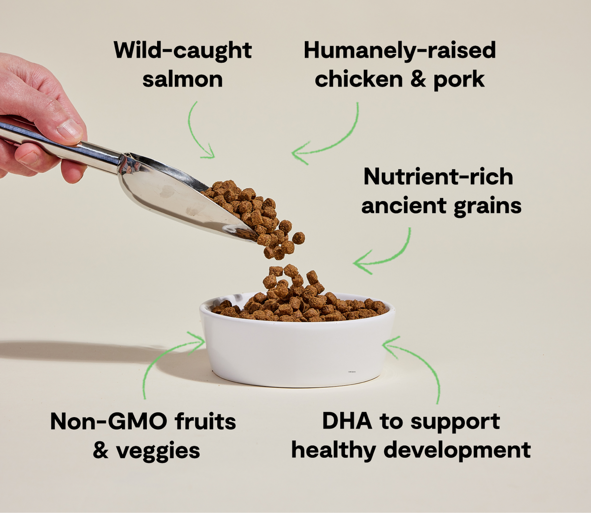 Chicken & Salmon Ancient Grains Puppy Kibble