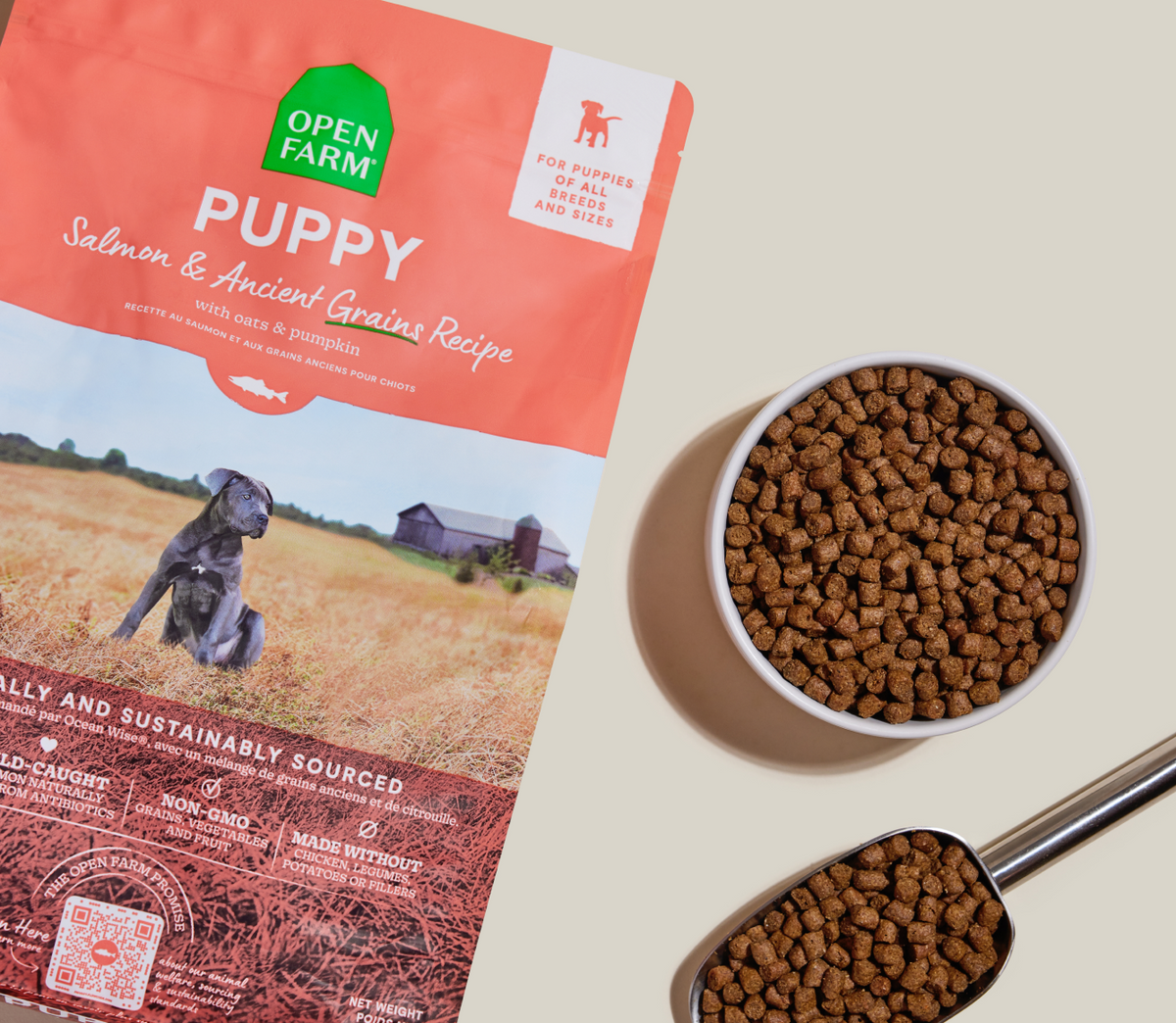 Salmon & Ancient Grains Puppy Kibble