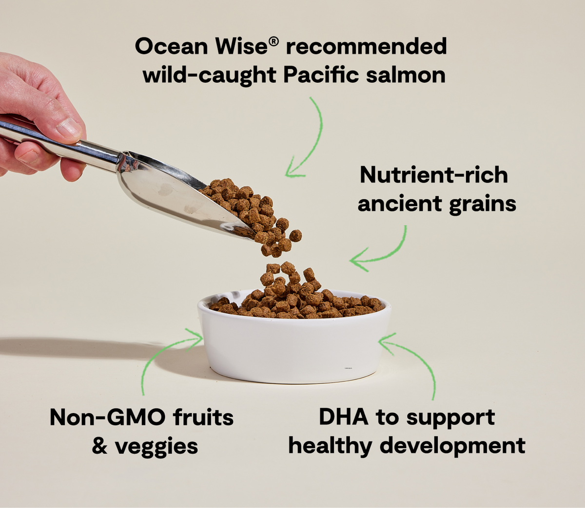 Salmon & Ancient Grains Puppy Kibble