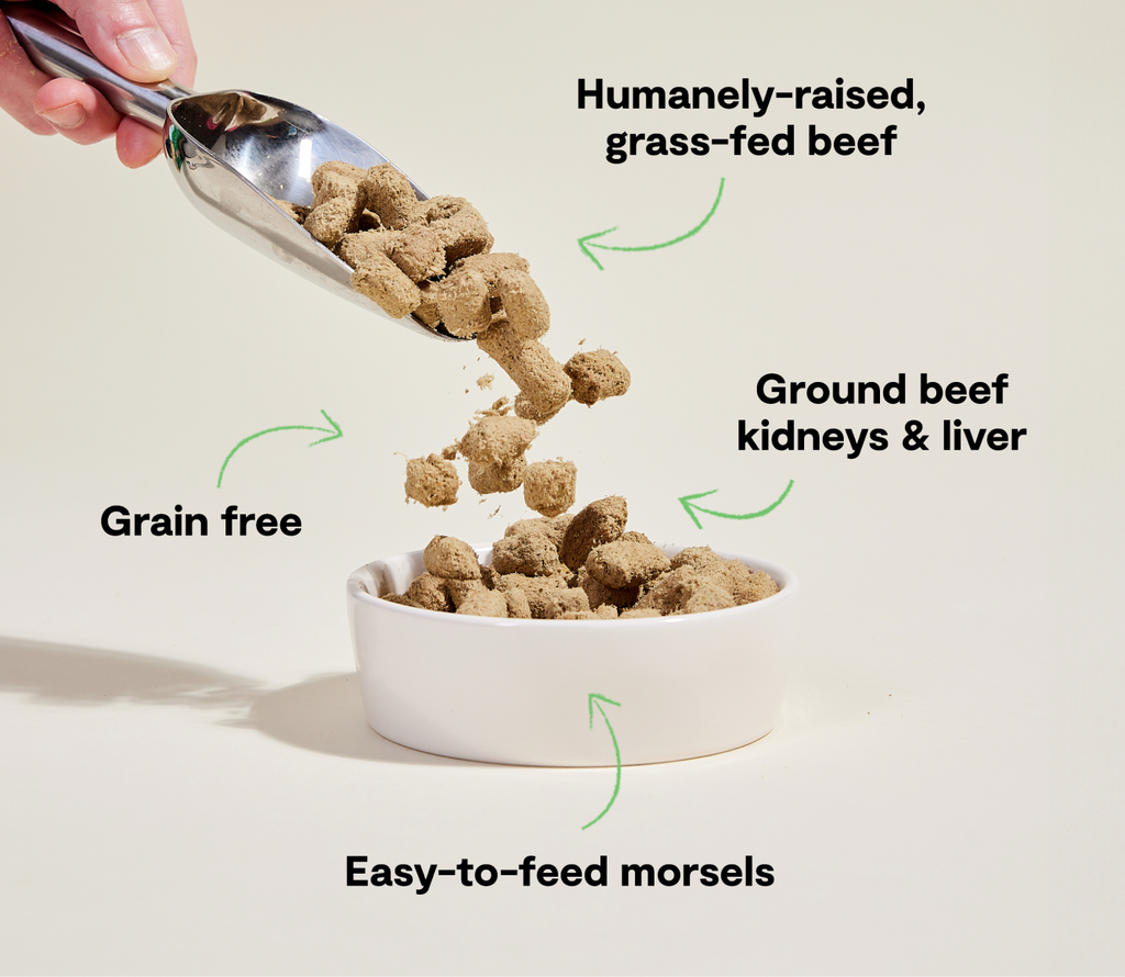 Grass-Fed Beef Freeze Dried Raw Morsels for Dogs
