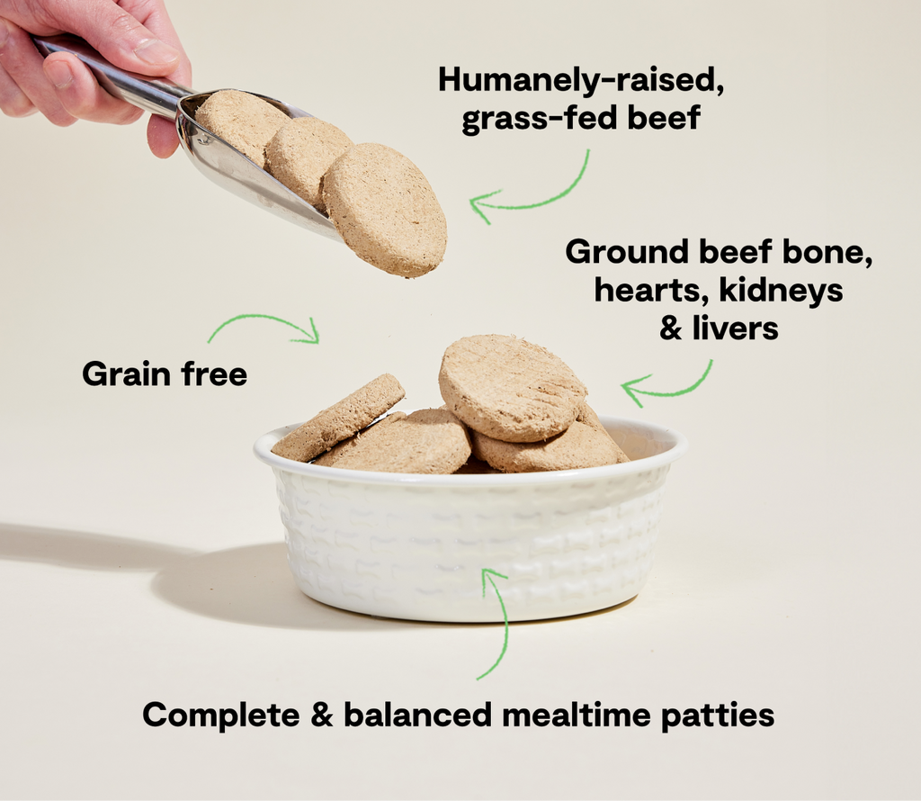 Grass-Fed Beef Freeze Dried Raw Patties for Dogs
