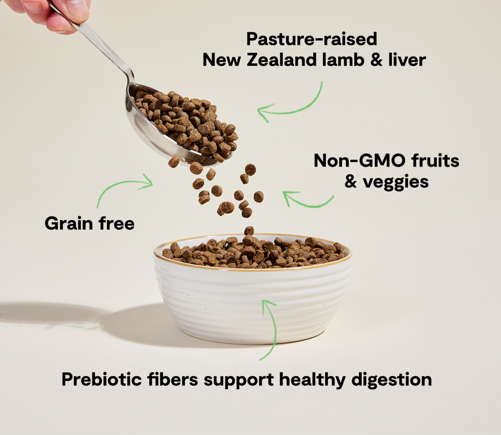 Pasture-Raised Lamb Grain-Free Cat Kibble
