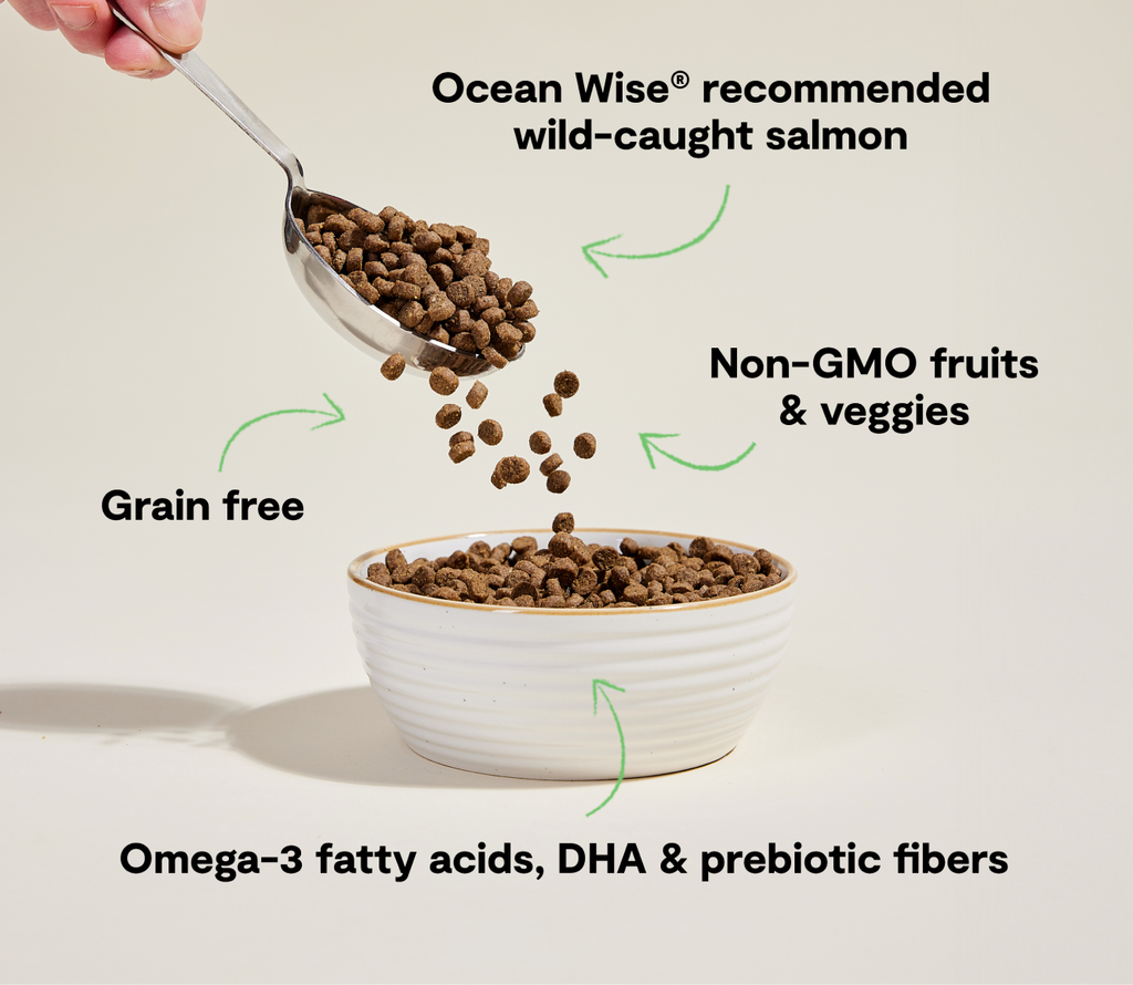 Wild-Caught Salmon Grain-Free Cat Kibble