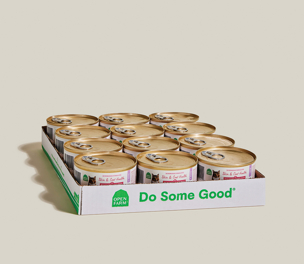 Wild-Caught Salmon Skin & Coat Health Pâté for Cats