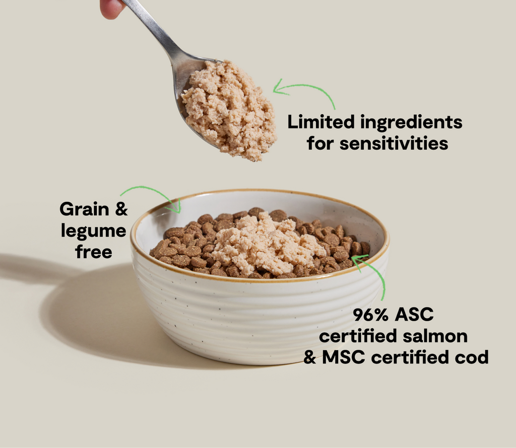 Salmon & Cod Topper for Cats