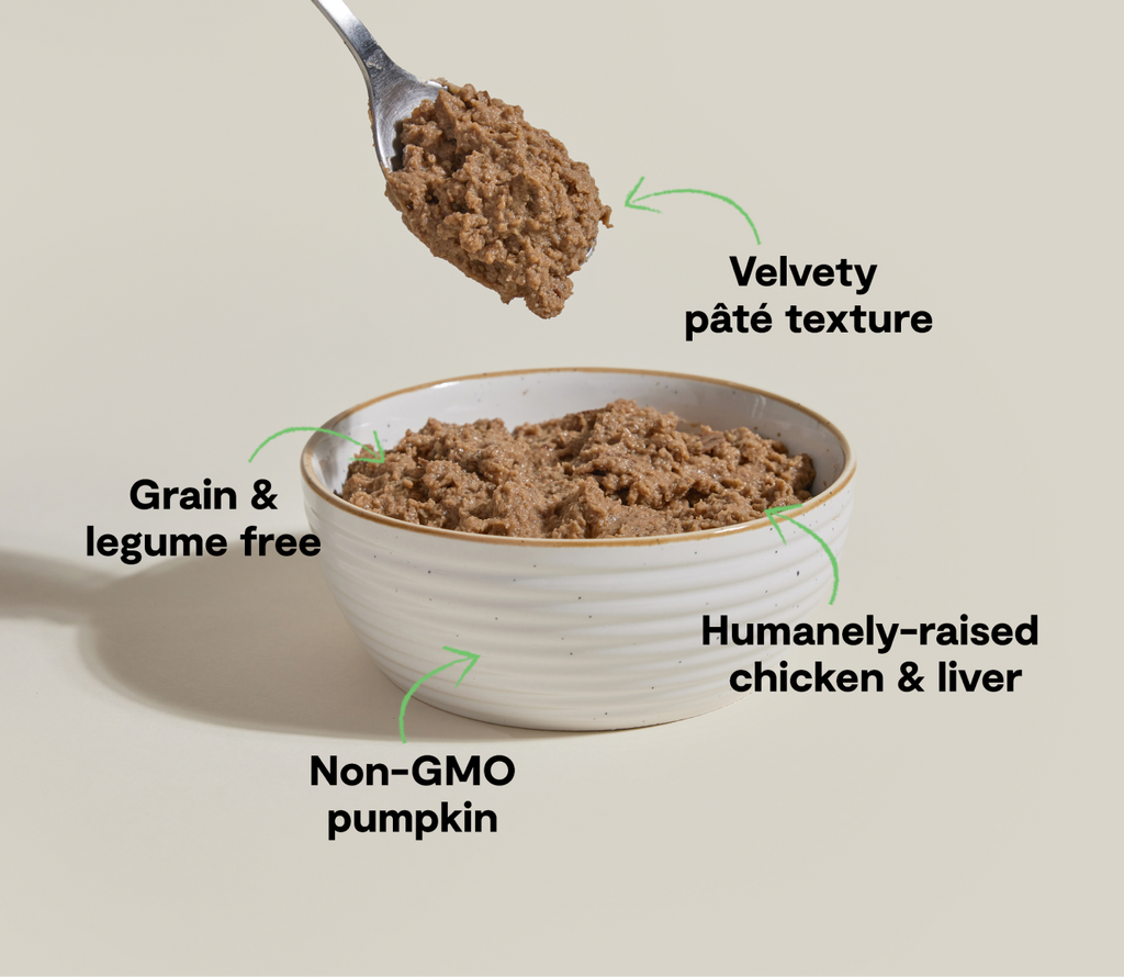 Harvest Chicken Pâté for Cats