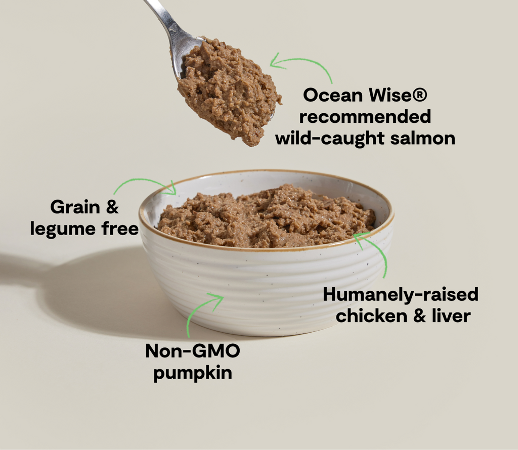 Chicken & Salmon Pâté for Cats