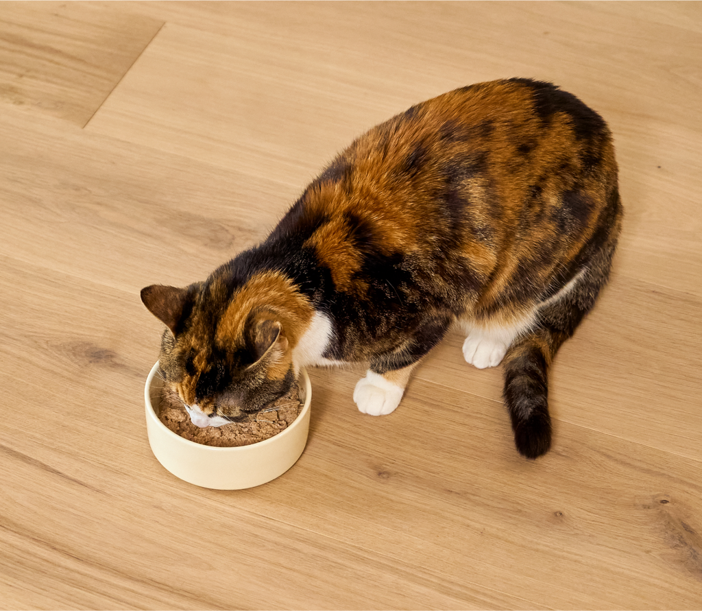 Chicken & Grass-Fed Beef Pâté for Cats
