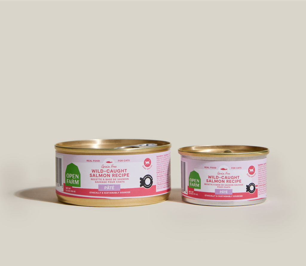 Wild-Caught Salmon Pâté for Cats