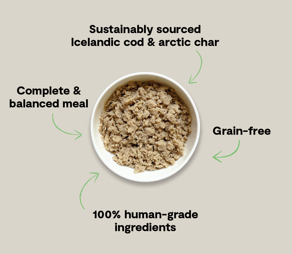 Icelandic Cod & Arctic Char Wet Food for Dogs