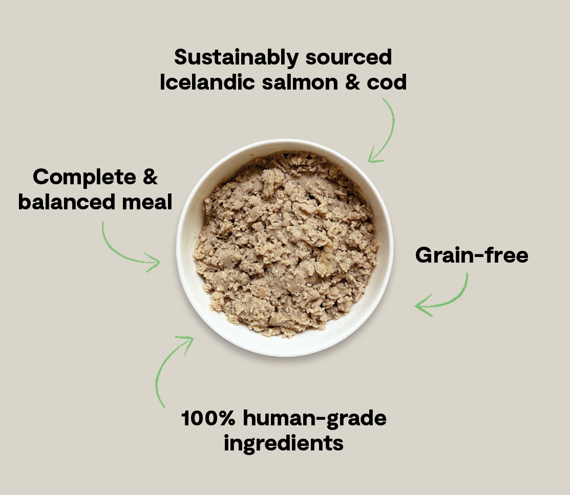 Icelandic Salmon & Cod Wet Food for Dogs