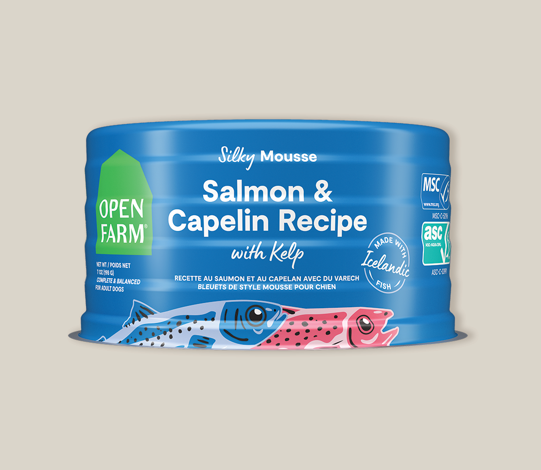 Icelandic Salmon & Capelin Wet Food for Dogs