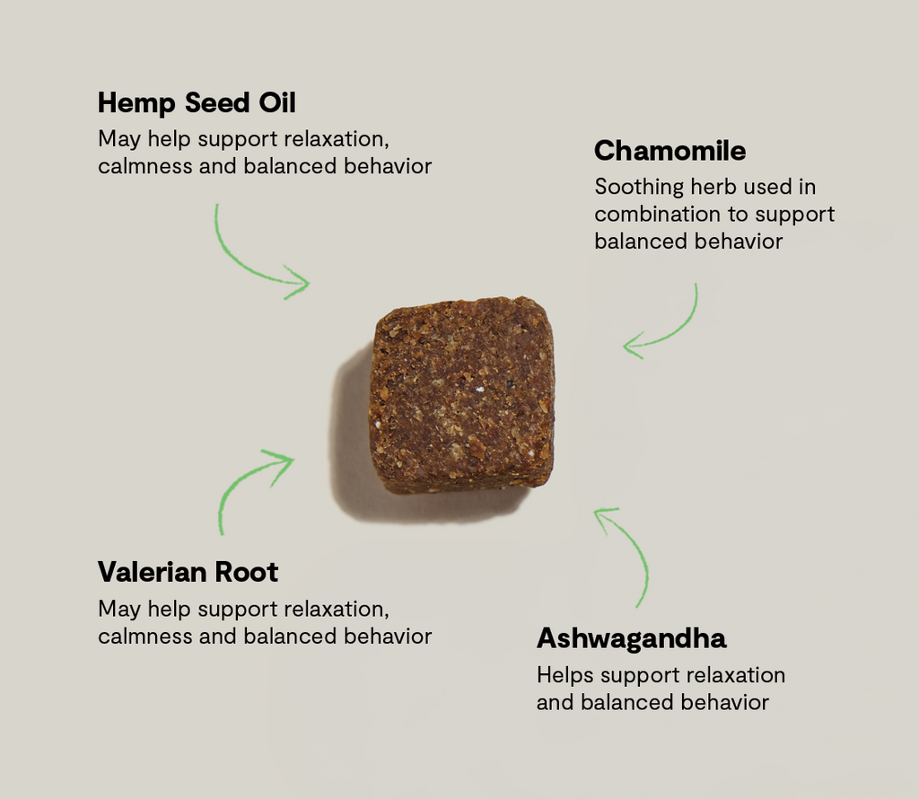 Calming Supplement Chews for Dogs