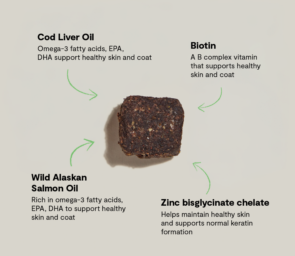 Skin & Coat Supplement Chews for Dogs