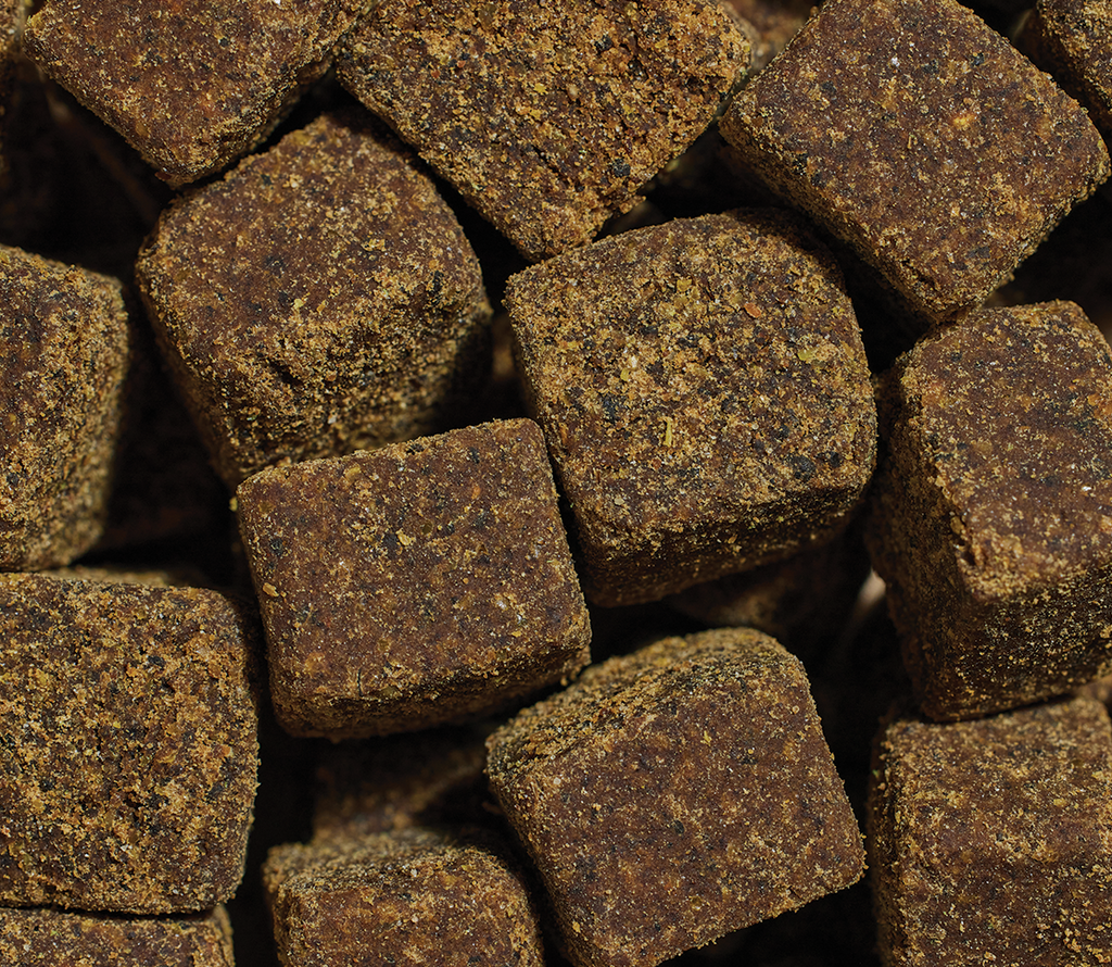 Hip & Joint Supplement Chews for Dogs