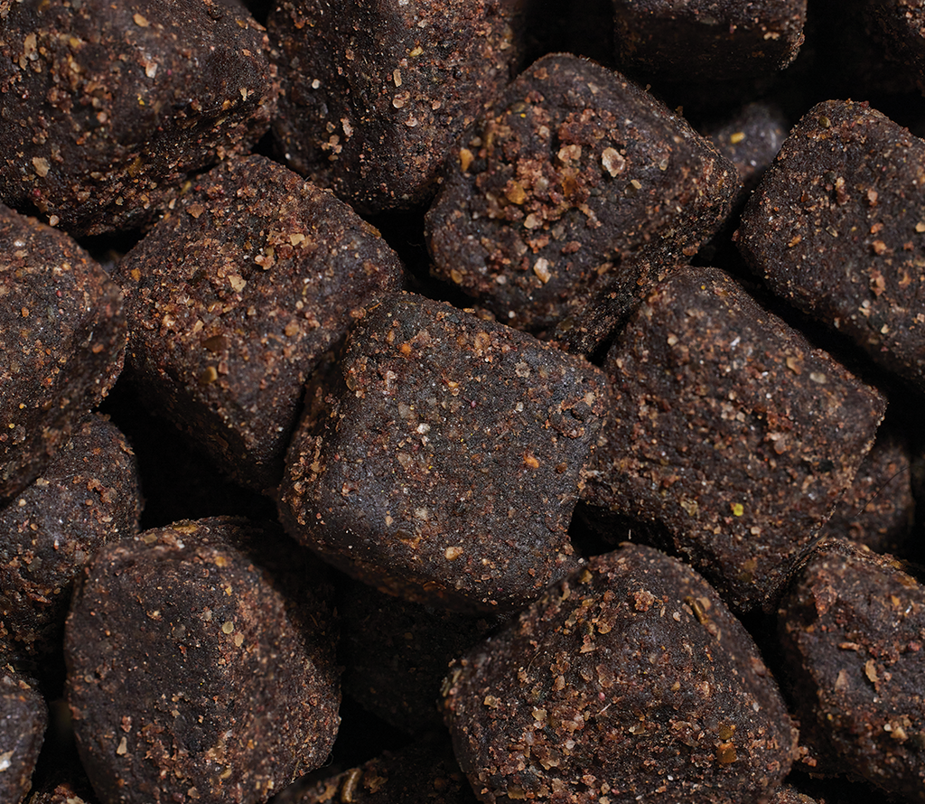 Skin & Coat Supplement Chews for Dogs