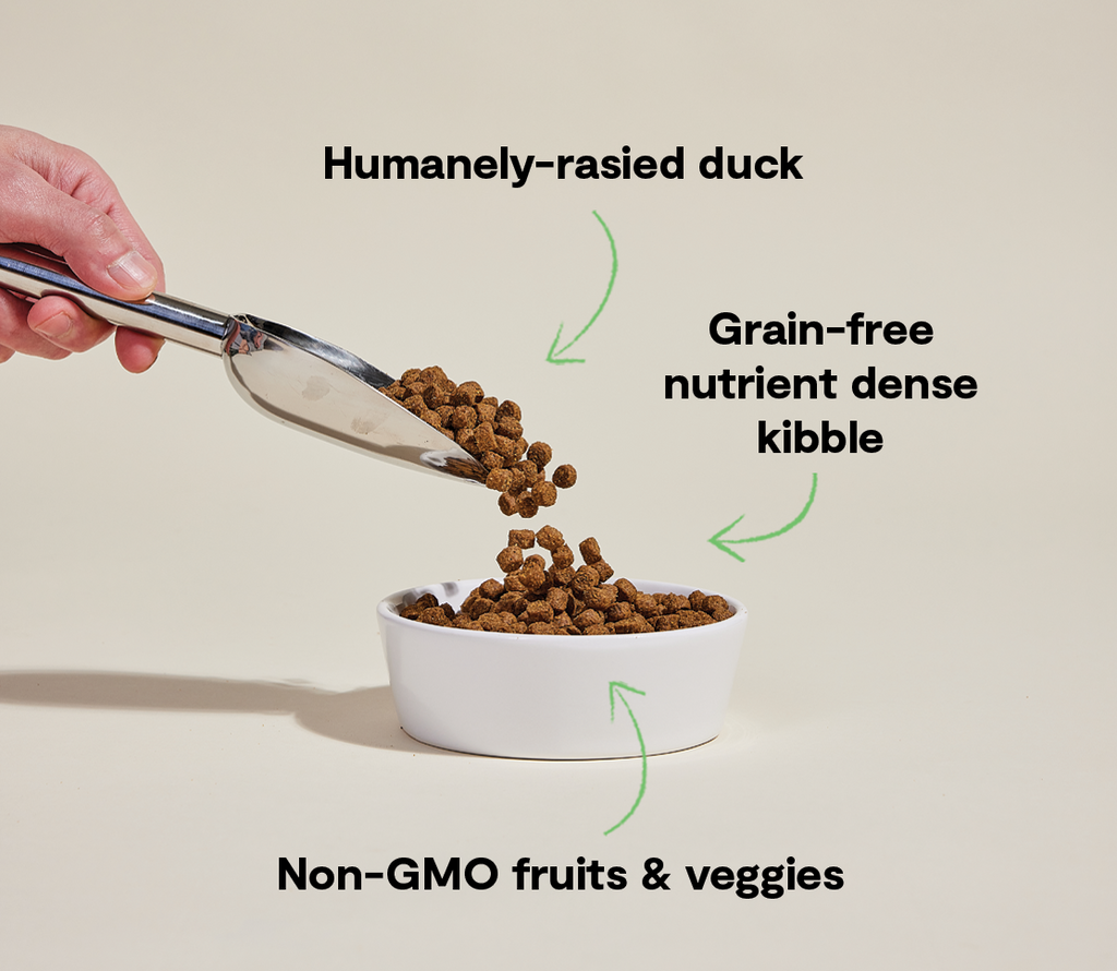 Farmstead Duck Grain-Free Dog Kibble
