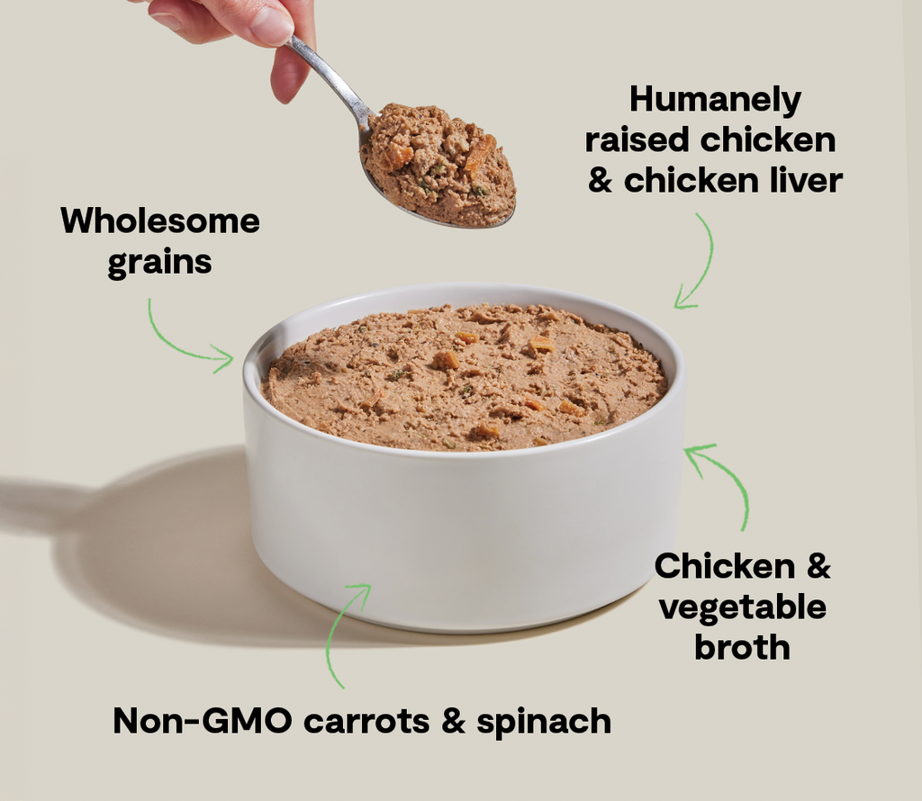 Goodbowl™ Harvest Chicken Pâté for Dogs