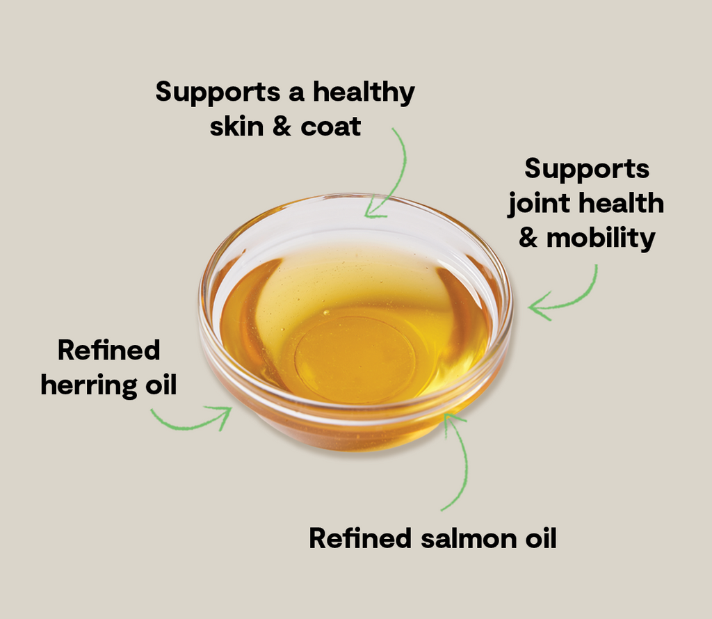 Icelandic Herring & Salmon Oil For Cats