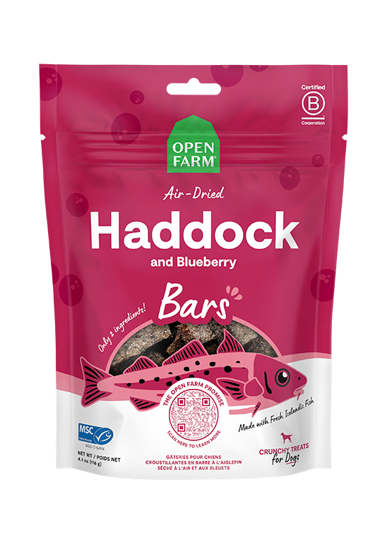 Icelandic Air-Dried Haddock & Blueberry Dog Treat Bars