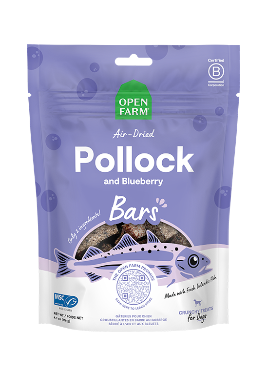 Icelandic Air-Dried Pollock & Blueberry Dog Treat Bars