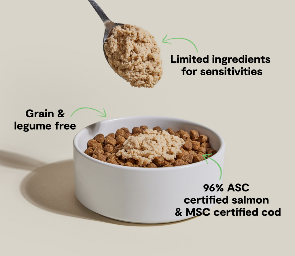 Salmon & Cod Topper for Dogs