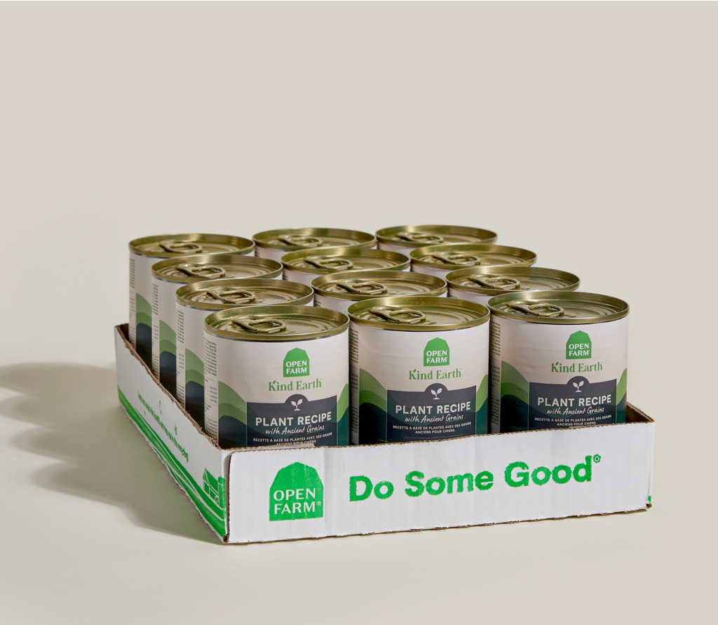 Kind Earth Plant Pâté with Ancient Grains for Dogs