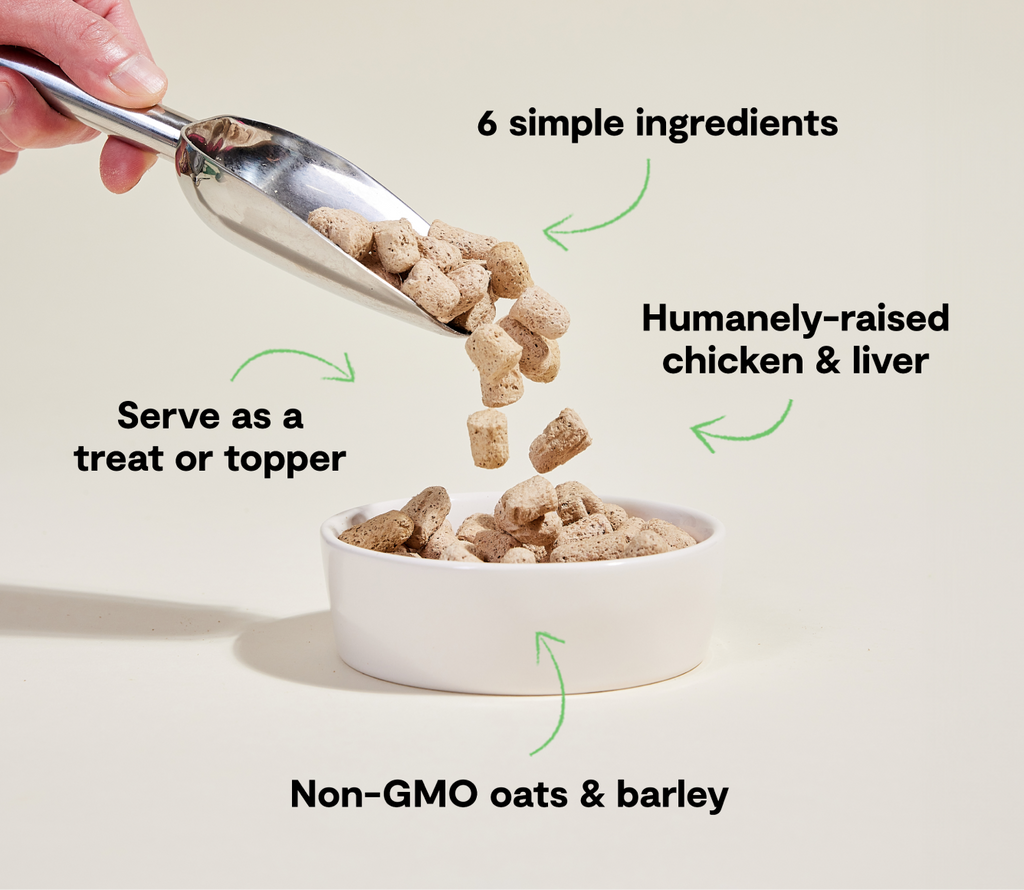 Goodbowl™ Harvest Chicken Freeze Dried Raw Morsels for Dogs