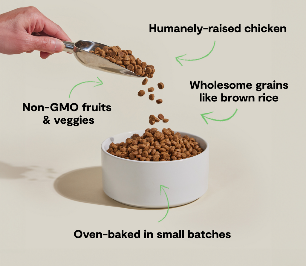 Goodbowl™ Harvest Chicken & Brown Rice Dog Kibble