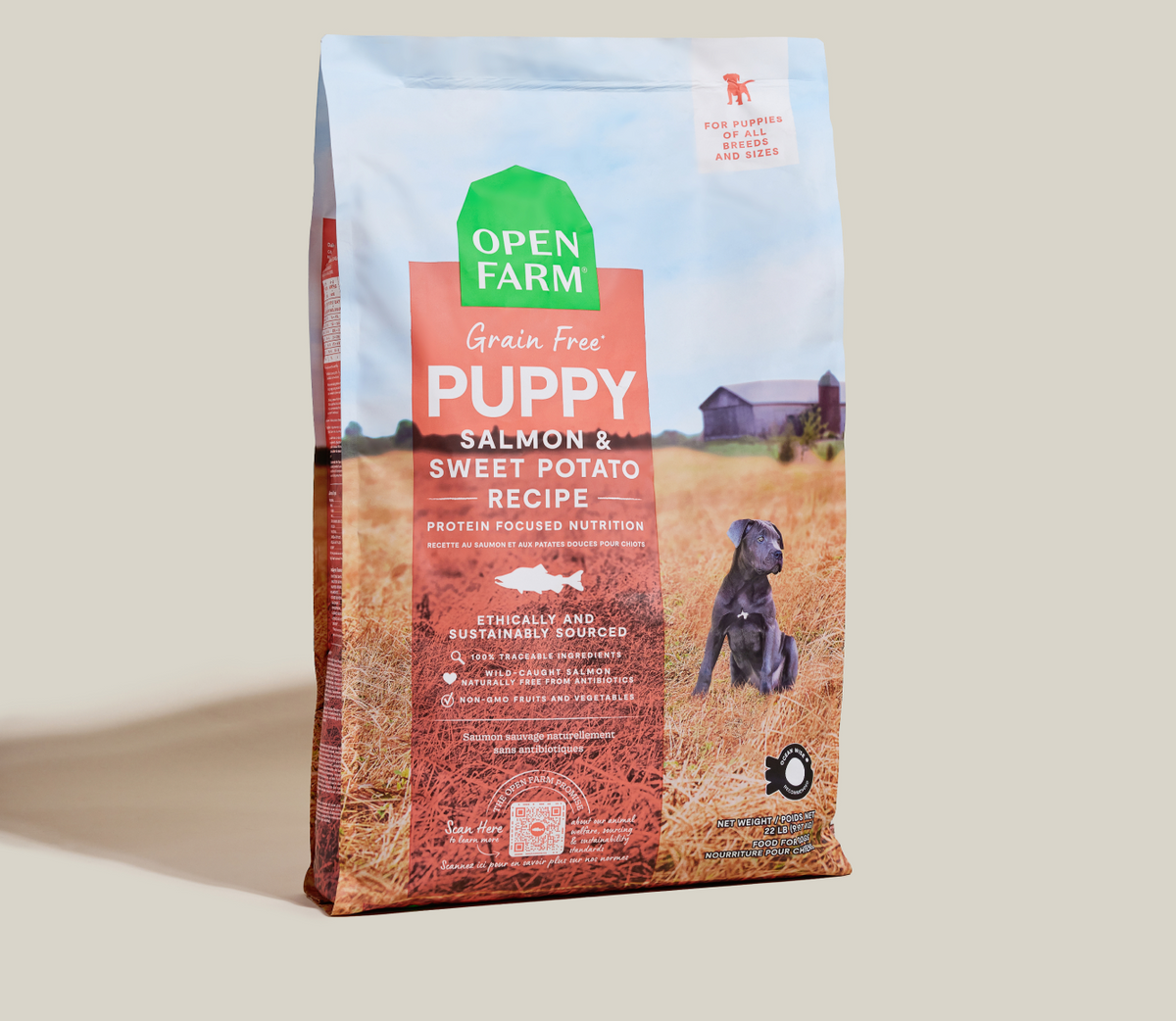 Salmon Grain-Free Puppy Kibble