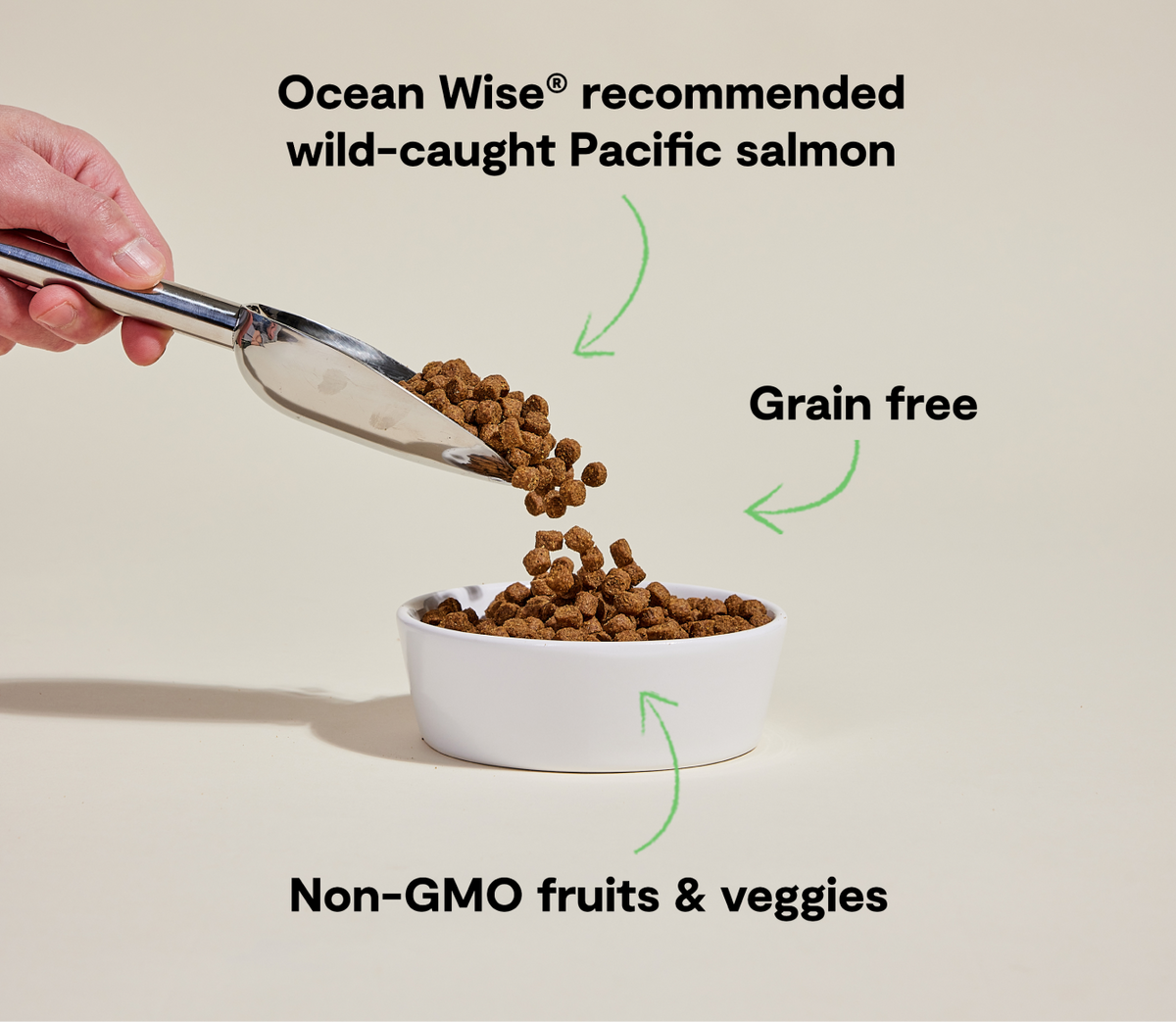 Wild-Caught Salmon Grain-Free Dog Kibble