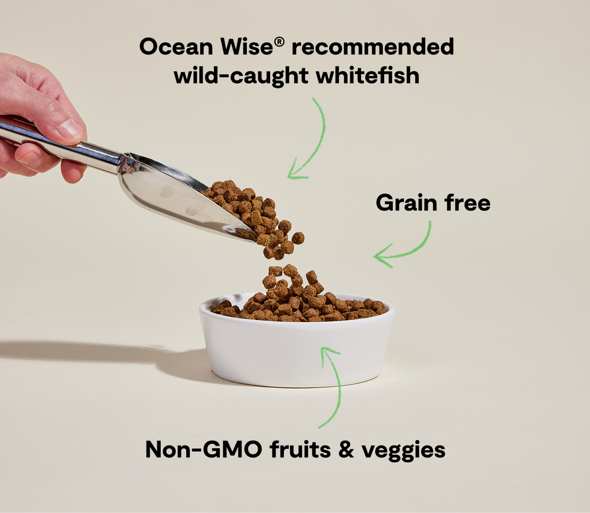 Whitefish Grain-Free Dog Kibble