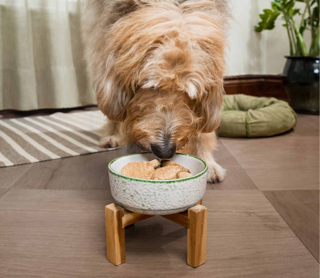 Chicken & Salmon Freeze Dried Raw Patties for Puppies