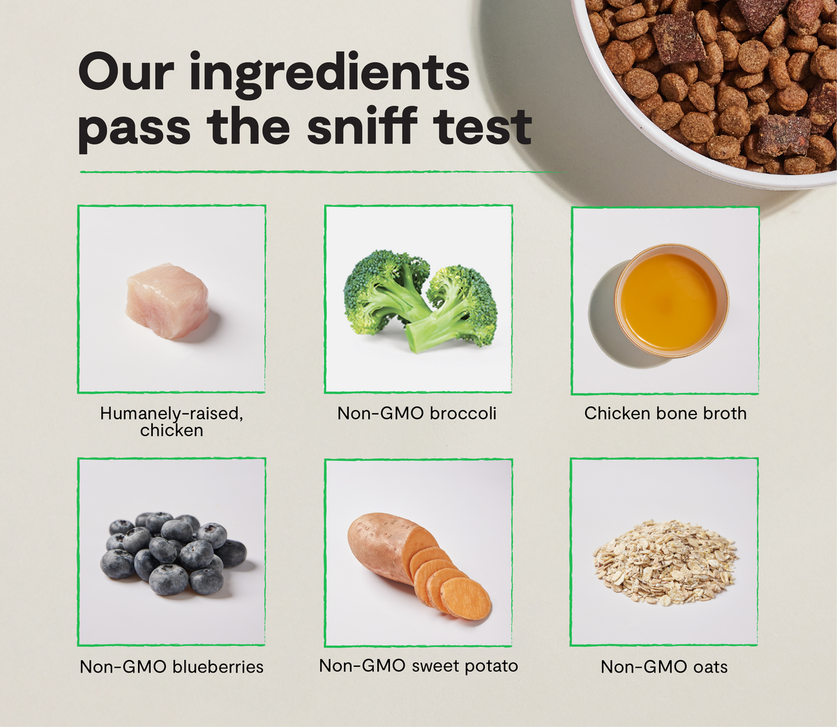 Epic Blend Chicken & Superfood Dry Dog Food