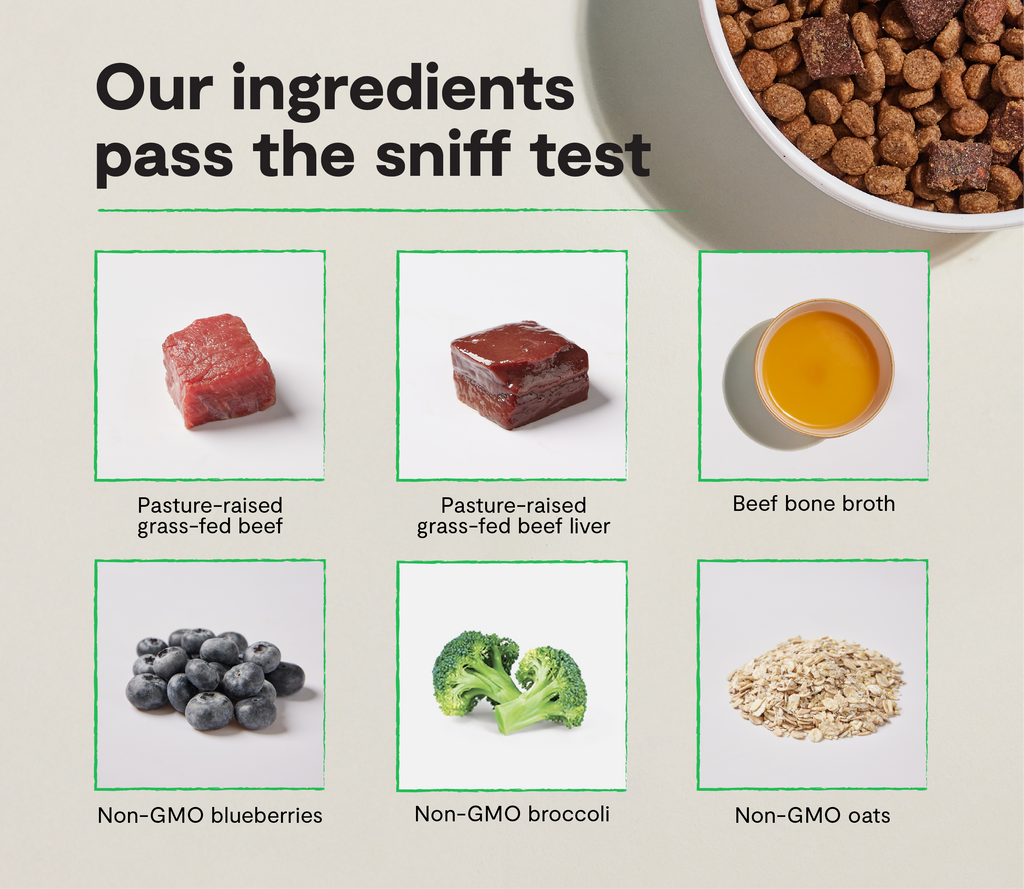 Epic Blend Beef & Superfood Dry Dog Food