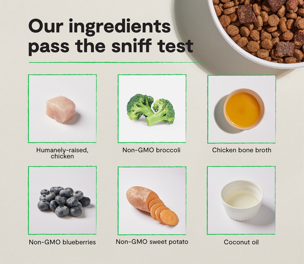 Epic Blend Chicken & Superfood Grain-Free Dog Kibble
