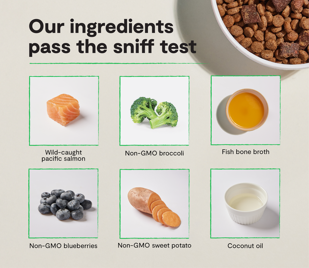 Epic Blend Salmon & Superfood Grain-Free Dog Kibble