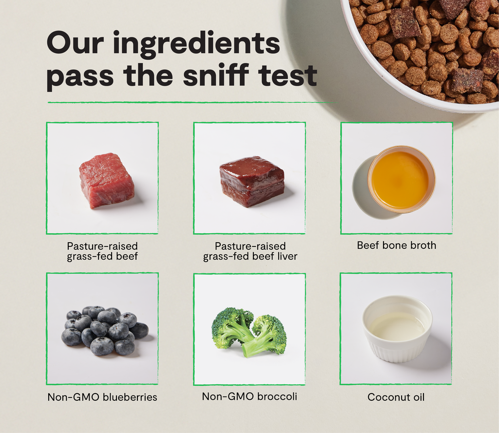 Epic Blend Beef & Superfood Grain-Free Dog Kibble