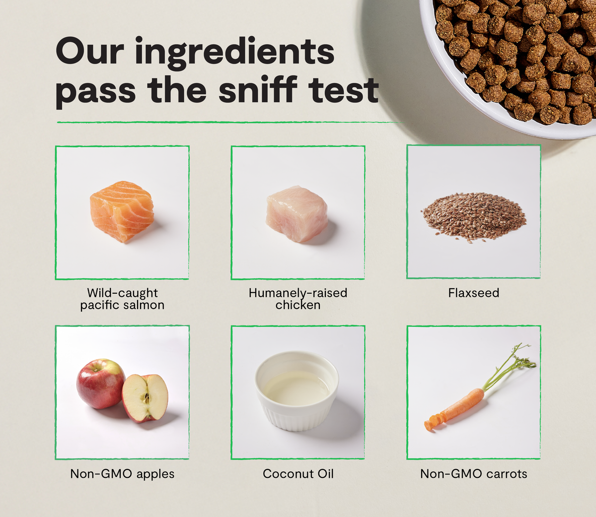 Chicken & Salmon Grain-Free Puppy Kibble