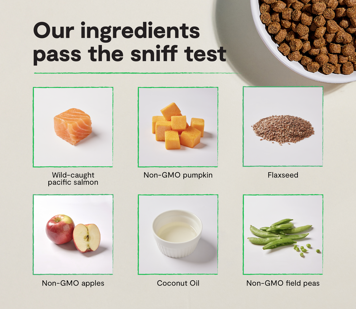 Salmon Grain-Free Puppy Kibble