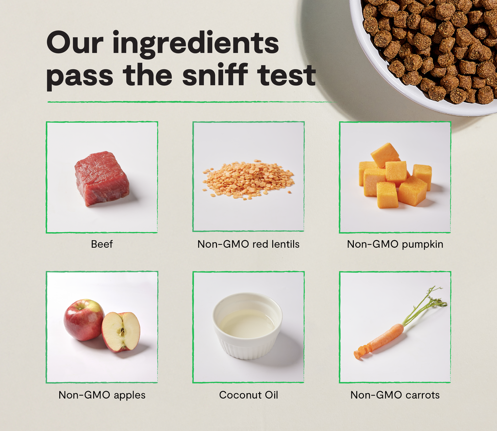 Grass-Fed Beef Grain-Free Dog Kibble