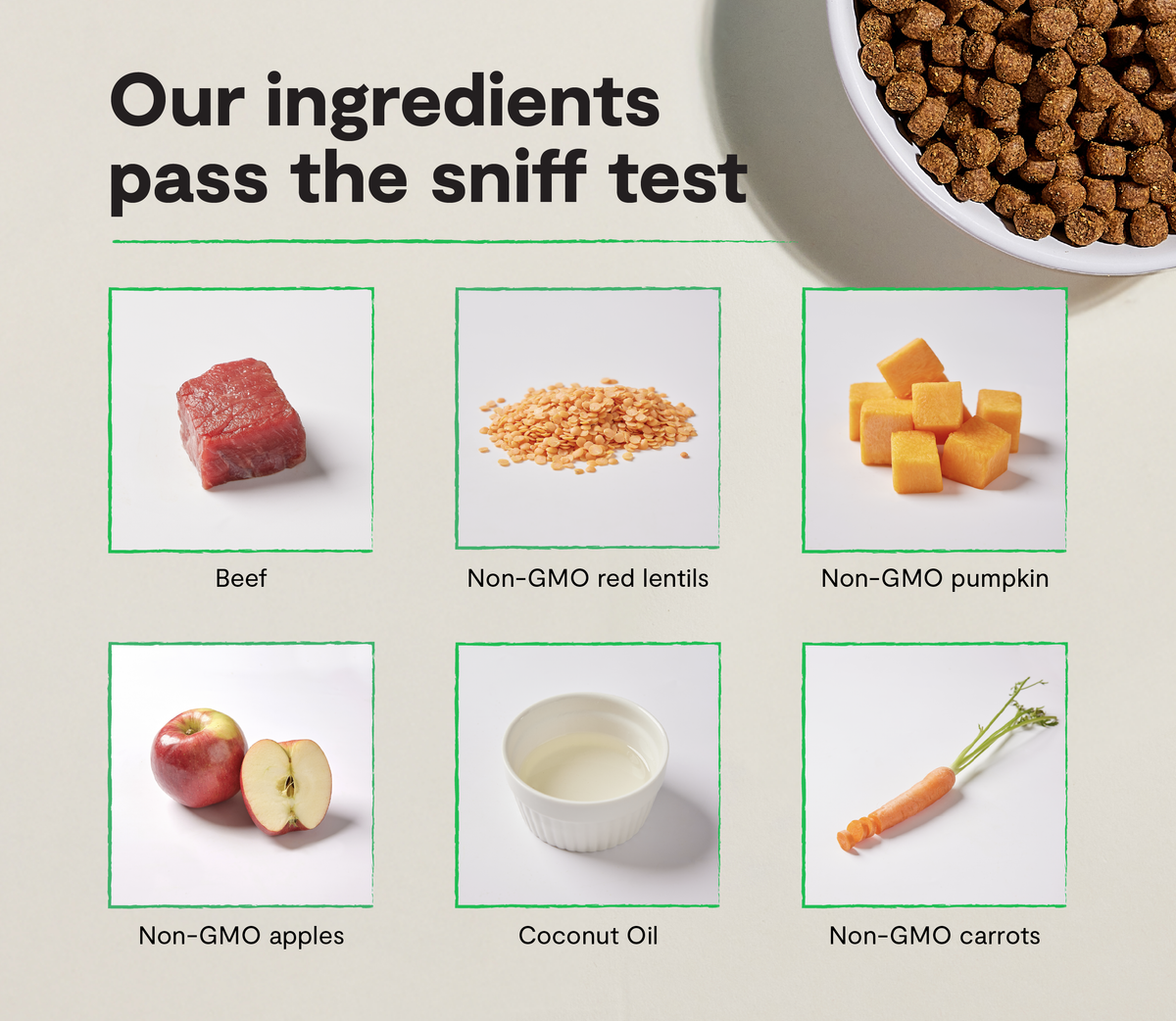 Grass-Fed Beef Grain-Free Dog Kibble