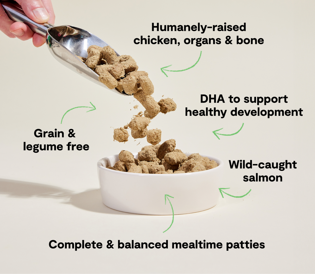 Chicken & Salmon Freeze Dried Raw Patties for Puppies