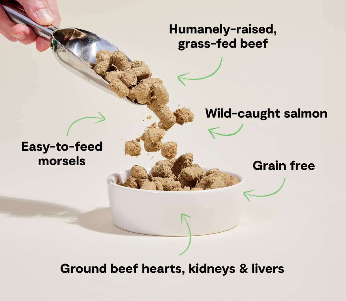 Surf & Turf Freeze Dried Raw Morsels for Dogs